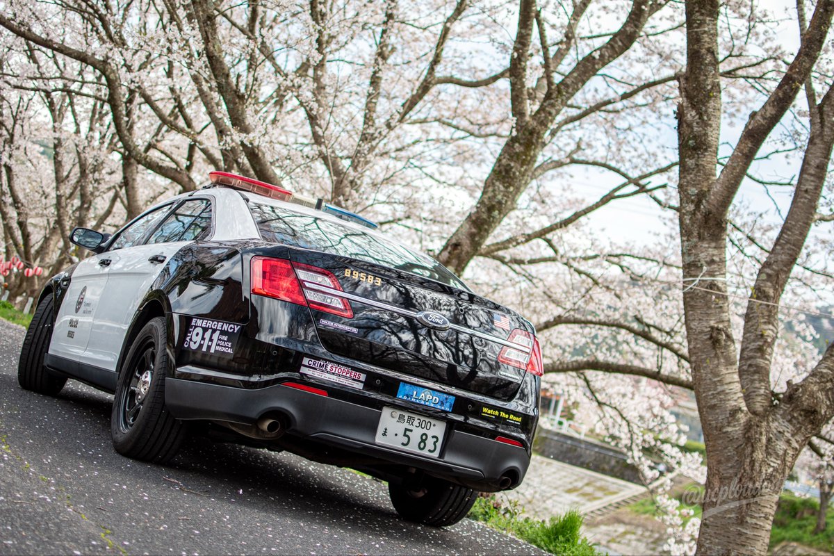 O氏(オーシ) tweet media