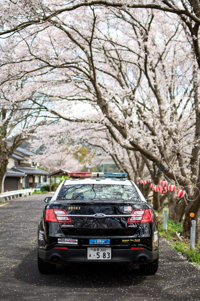 O氏(オーシ) tweet media