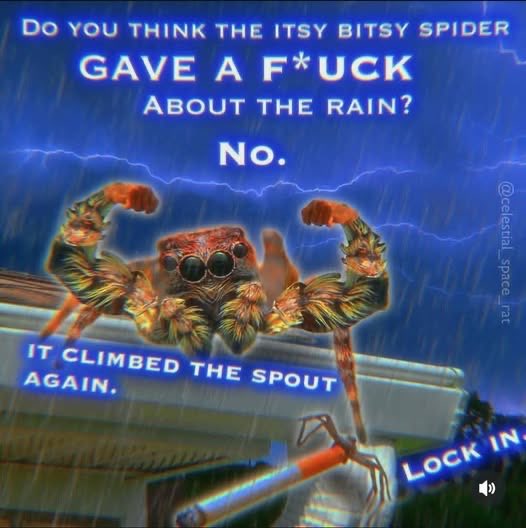 Boat Merchant tweet media