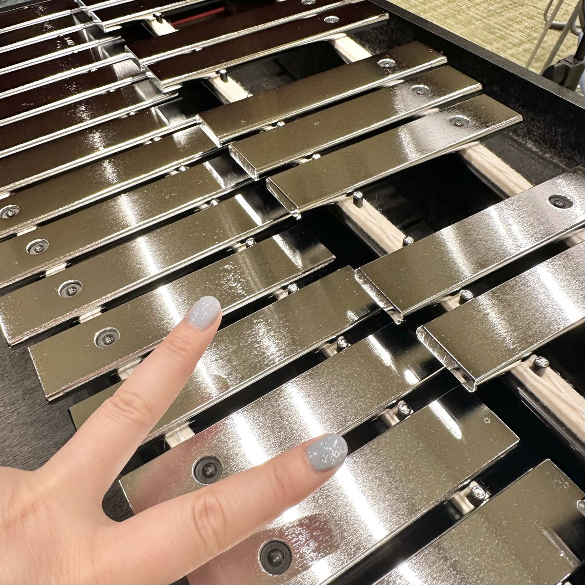 ももぷりん🎏＆むに子🐈もぐ🐈‍⬛ tweet media