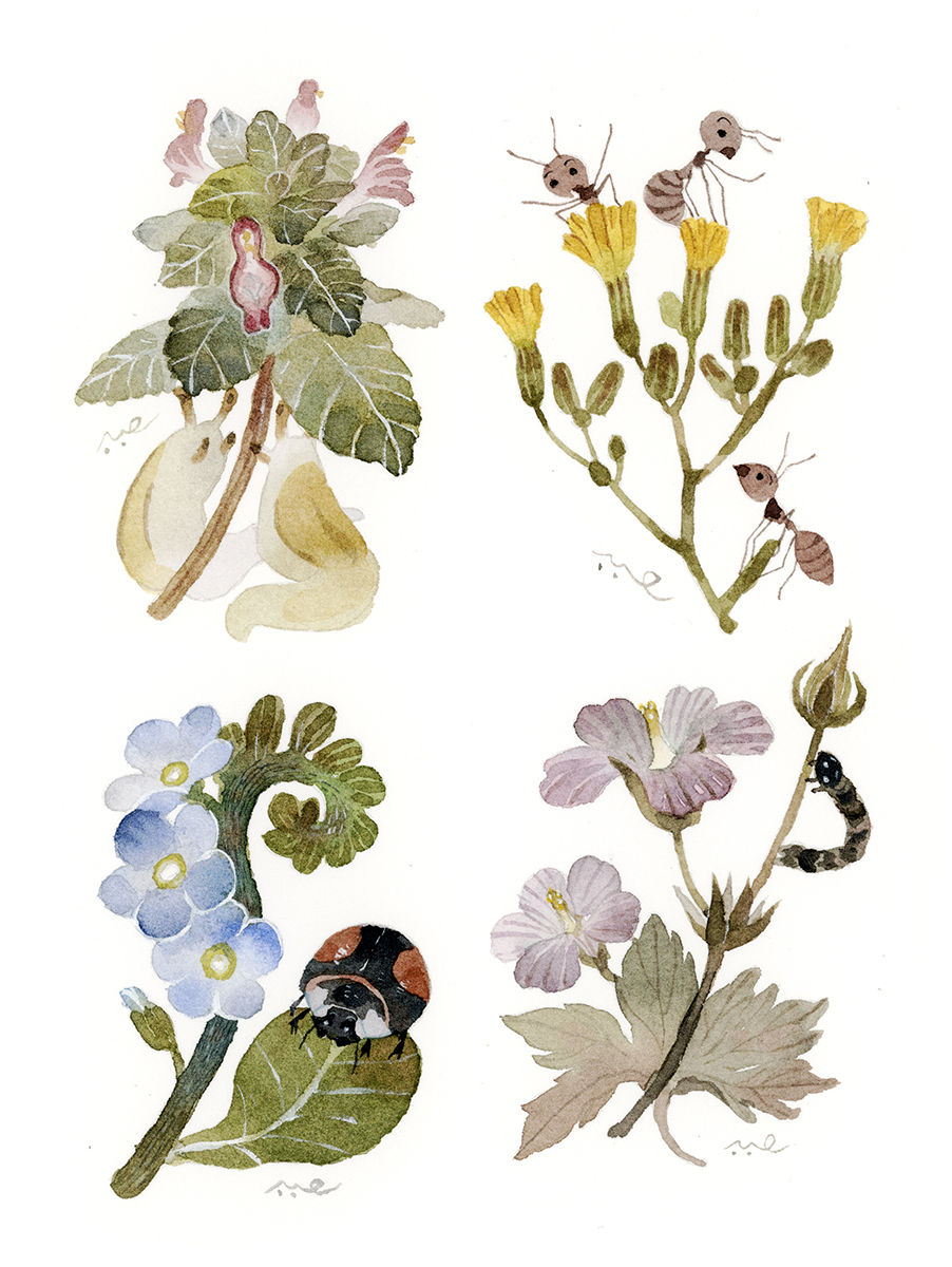 こまちみゆた tweet media