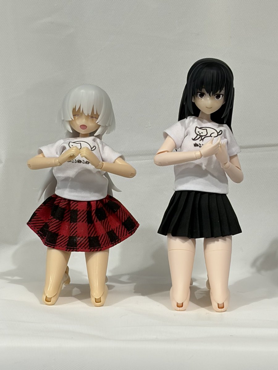 黒猫燐酸 tweet media