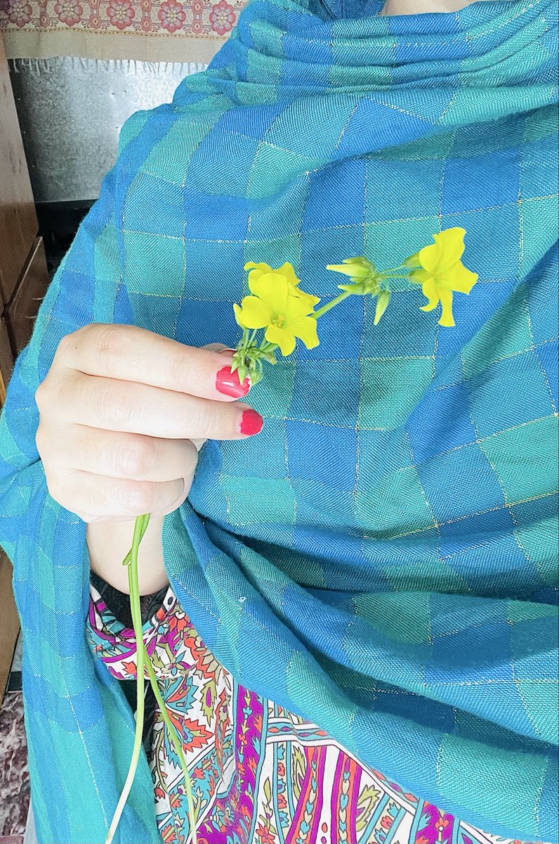 ماہا شاہ tweet media