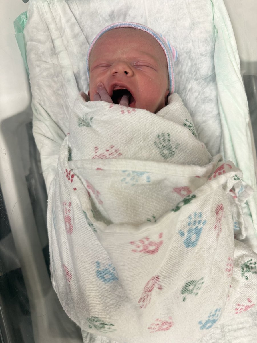 Matt Lindner tweet media