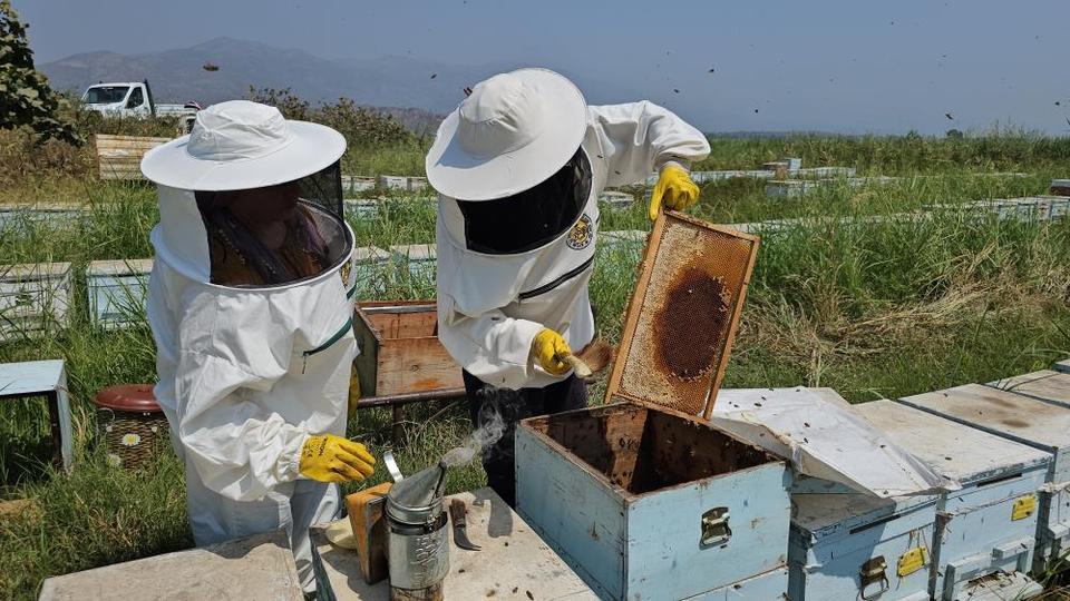Aydın Denge Gazetesi tweet media