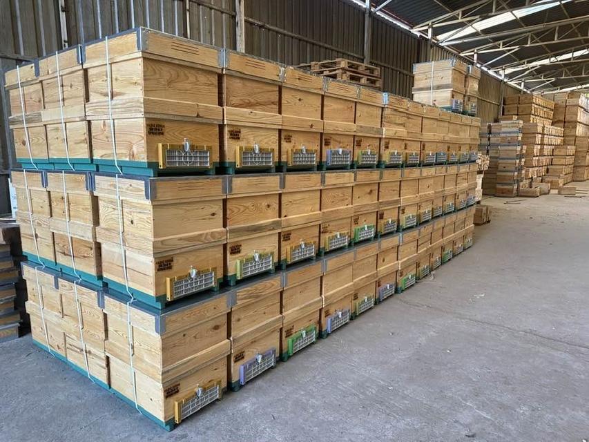 Aydın Denge Gazetesi tweet media