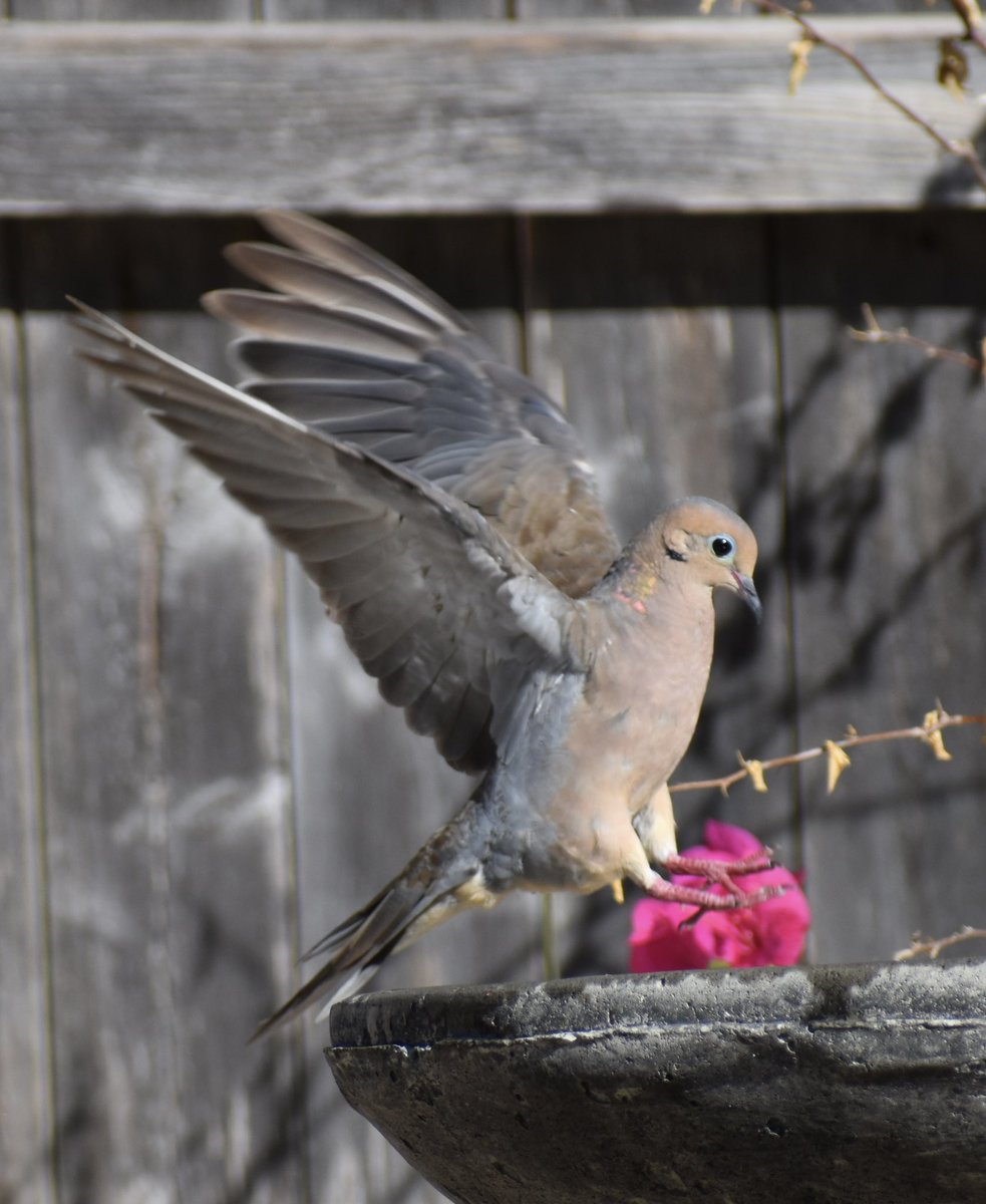 Sturdy Jenn tweet media