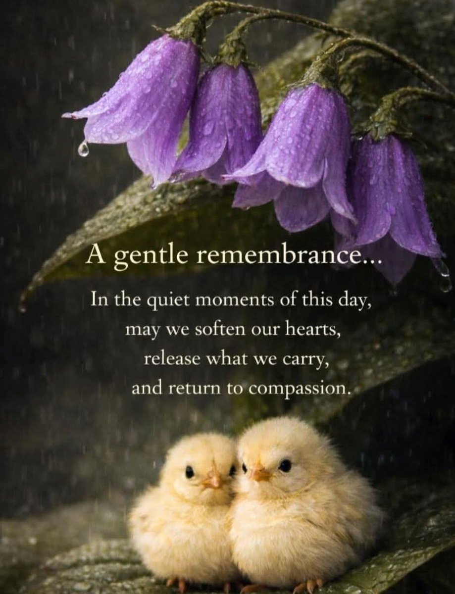 Tracey of ReadingIsOurPassion tweet media