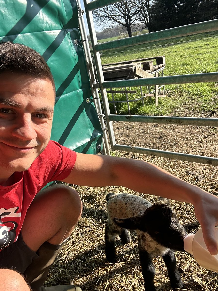 Dries Van Langenhove tweet media