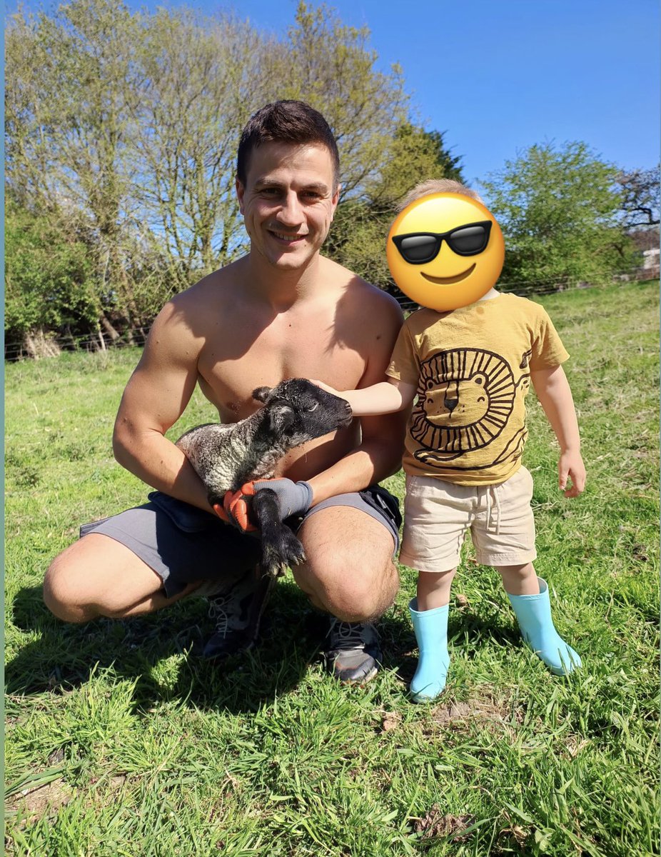 Dries Van Langenhove tweet media