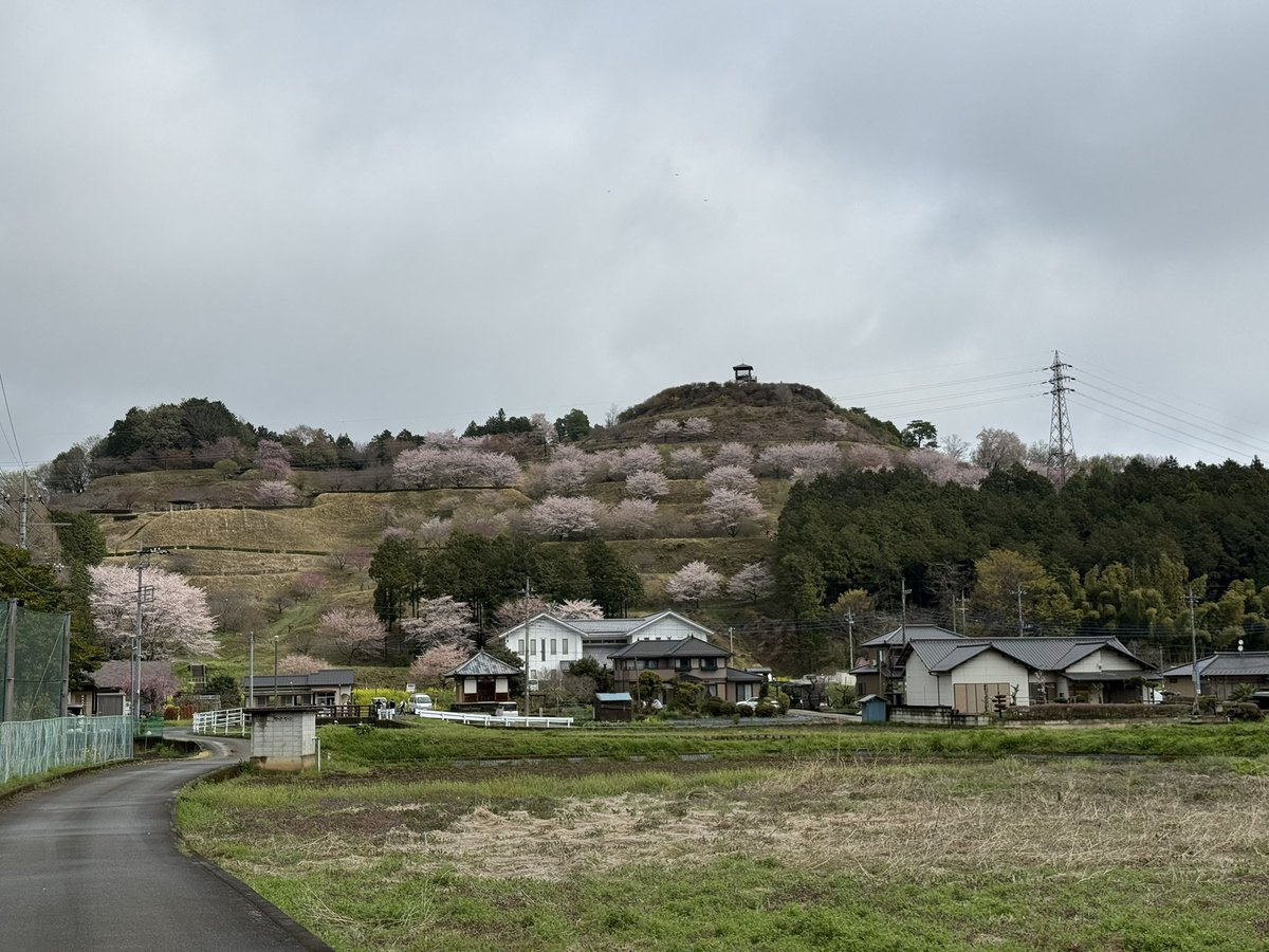 k-masahiro tweet media