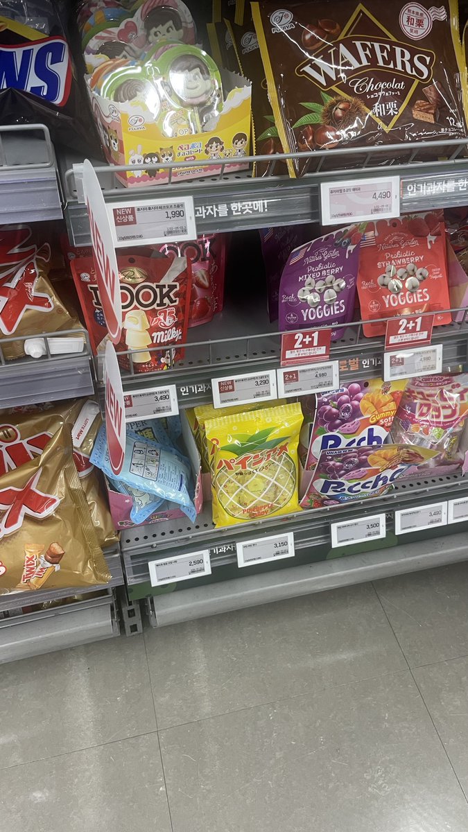 쿠리몽🌰 tweet media