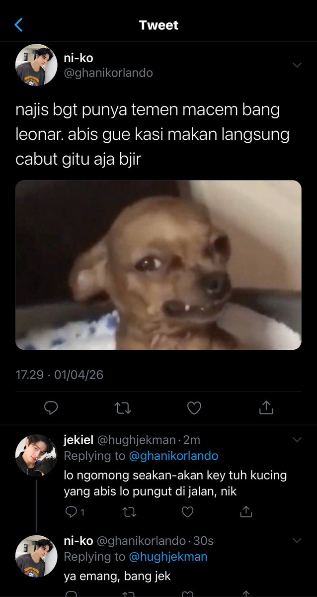 Liam🐈‍⬛ tweet media