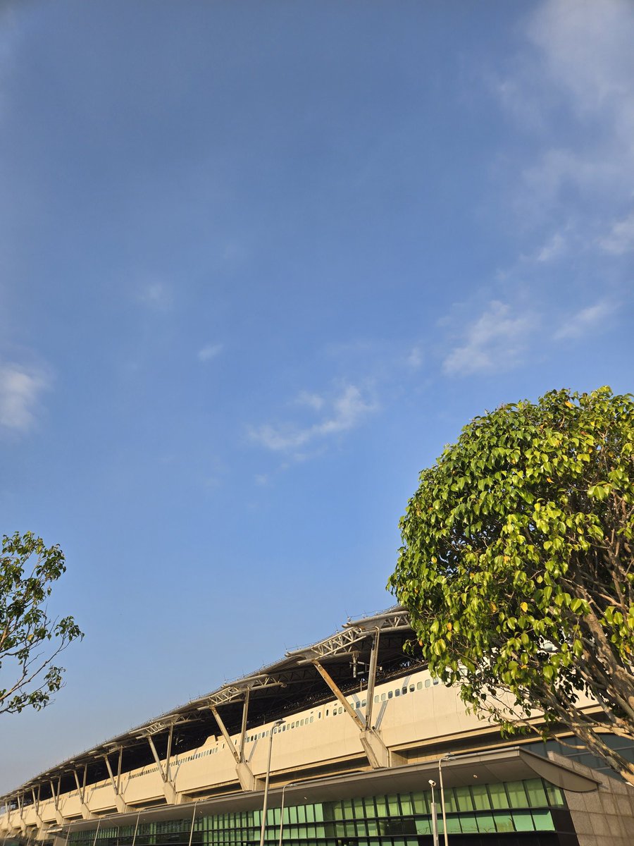 水瓶外星人🖖 tweet media