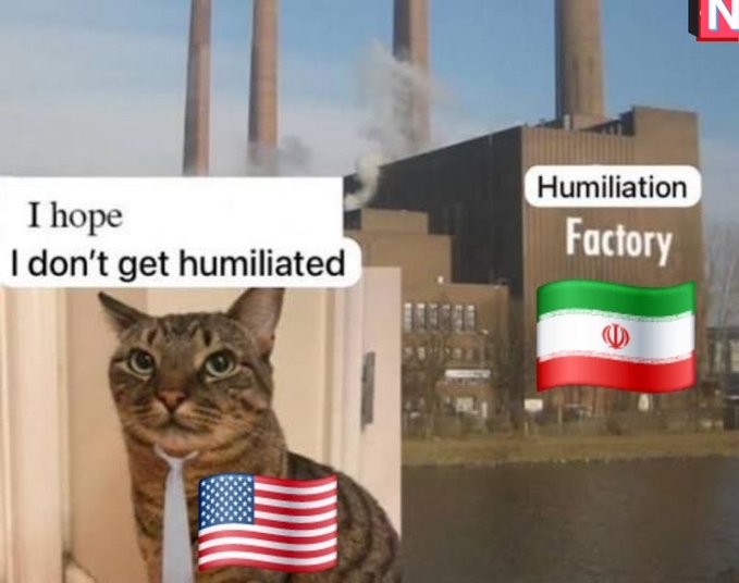 Ju Peter tweet media