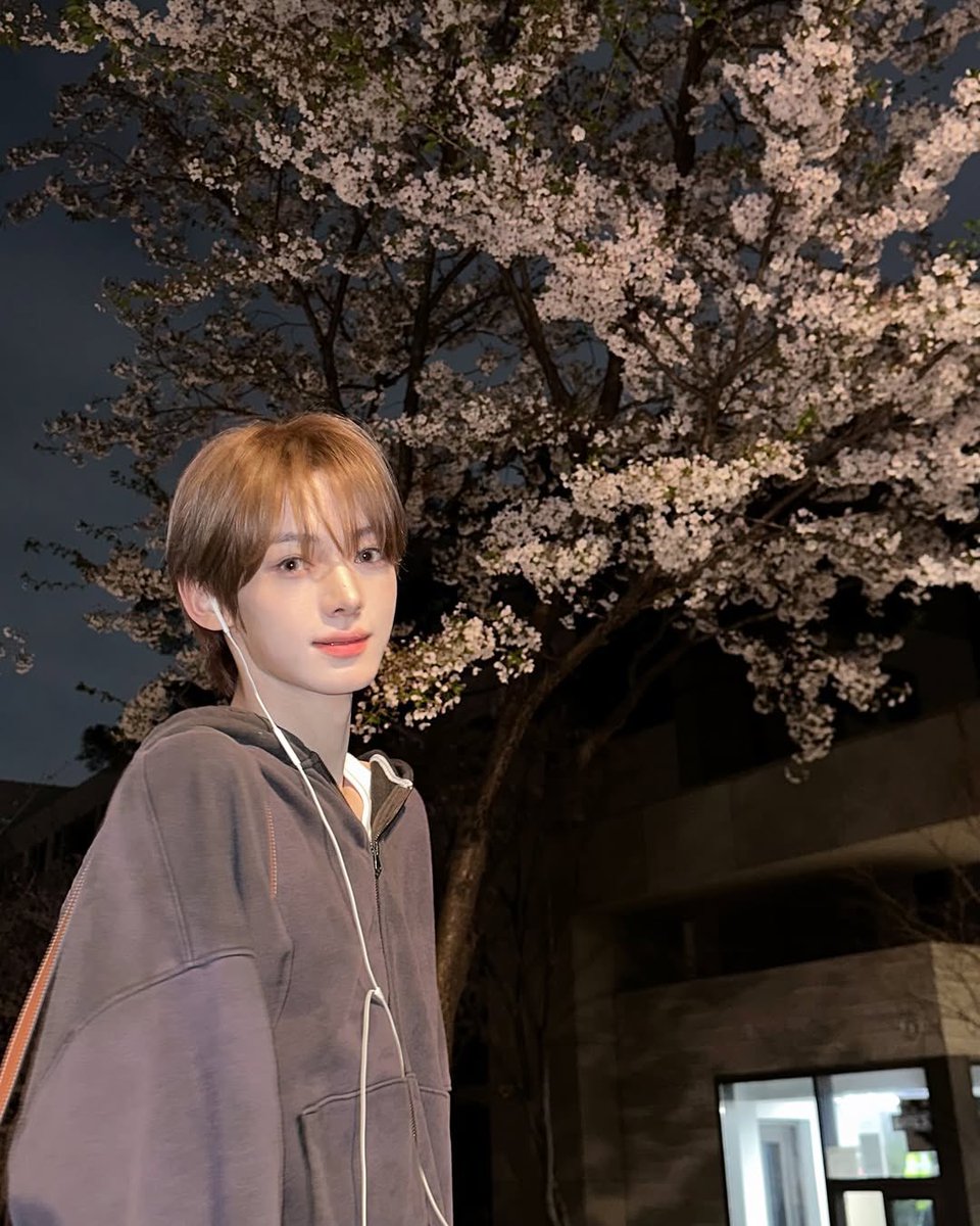 🅰️ra⭐️🍓🐈 tweet media