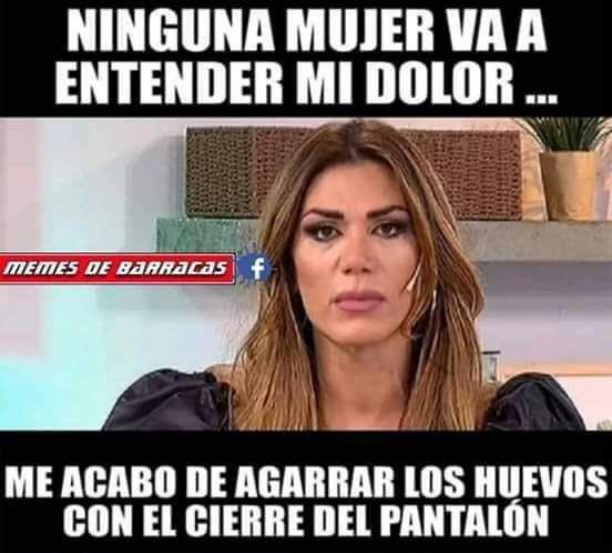 daniel pignatelli tweet media