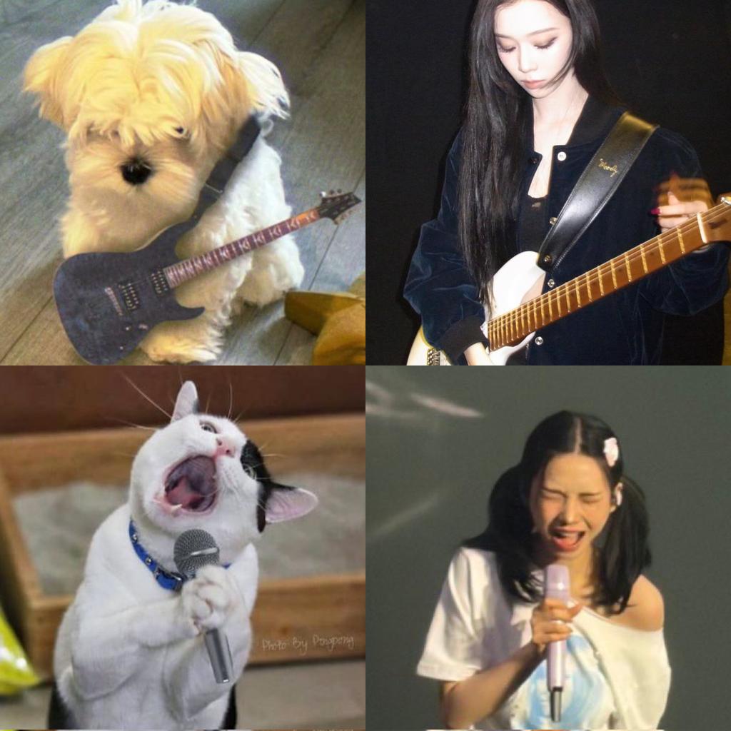 el 🐶🦊 tweet media