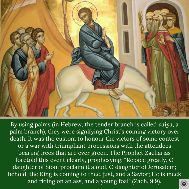 Greek Orthodox Archdiocese of Canada tweet media