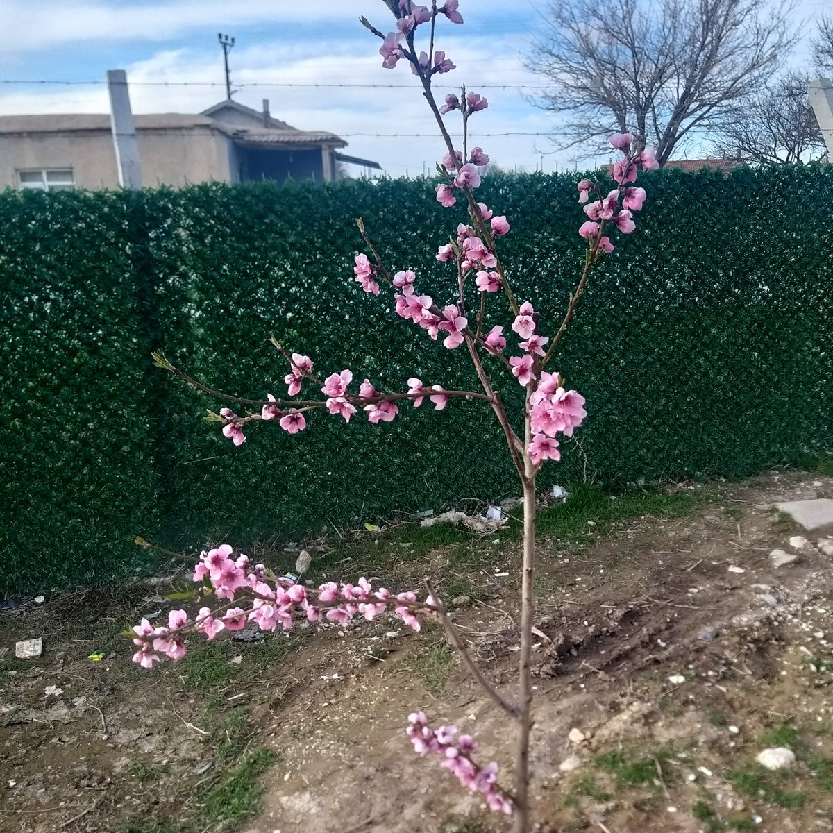 Nilüfer💭 tweet media