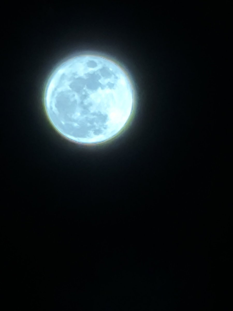 カニちろ🦀【お散歩】 tweet media