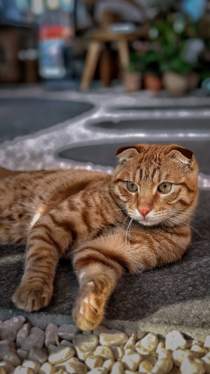 Ruff Bismonte tweet media