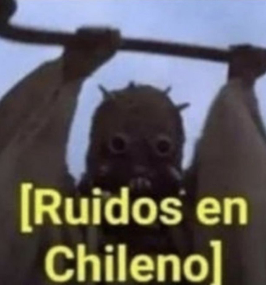 Julián Maciel tweet media