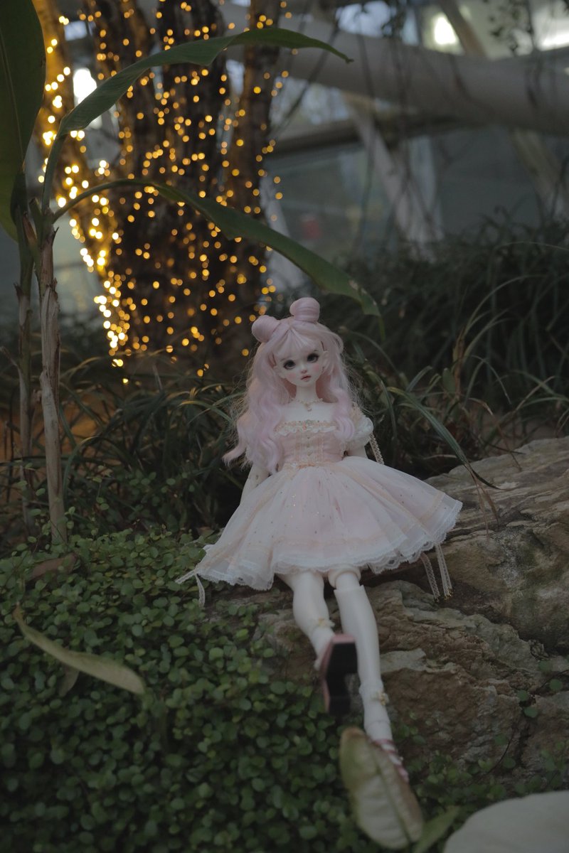 겨즈🐻 tweet media