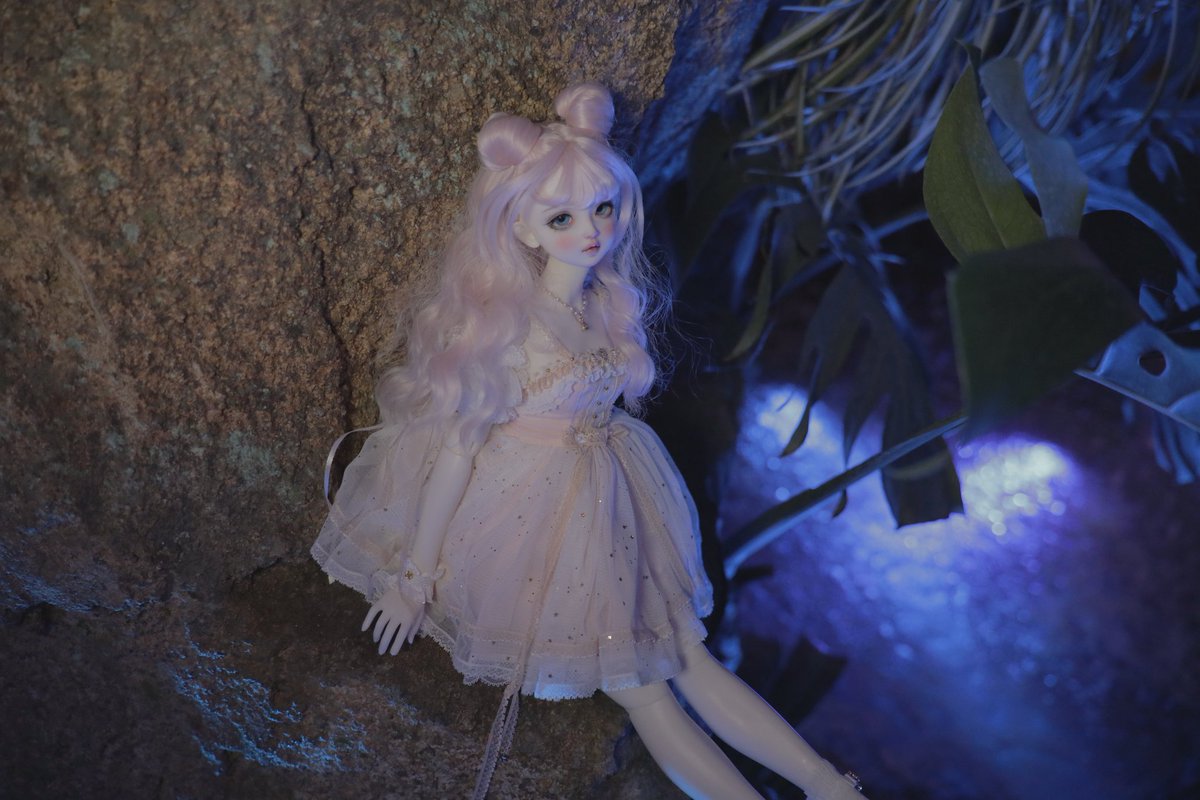 겨즈🐻 tweet media