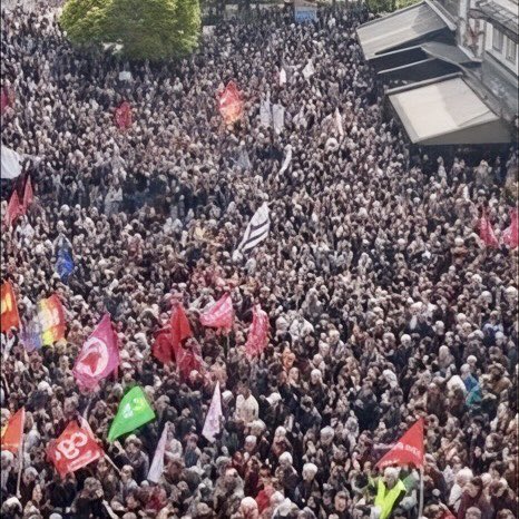 Madame Nin tweet media