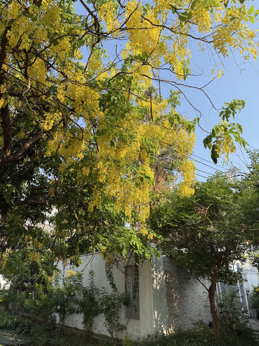 𝟚𝟘 tweet media