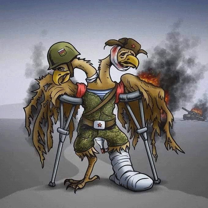 Slacker Fella 🇨🇦 🇺🇦 🌻 tweet media