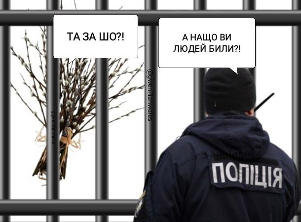От шо ви наробили зі своєю вербою!