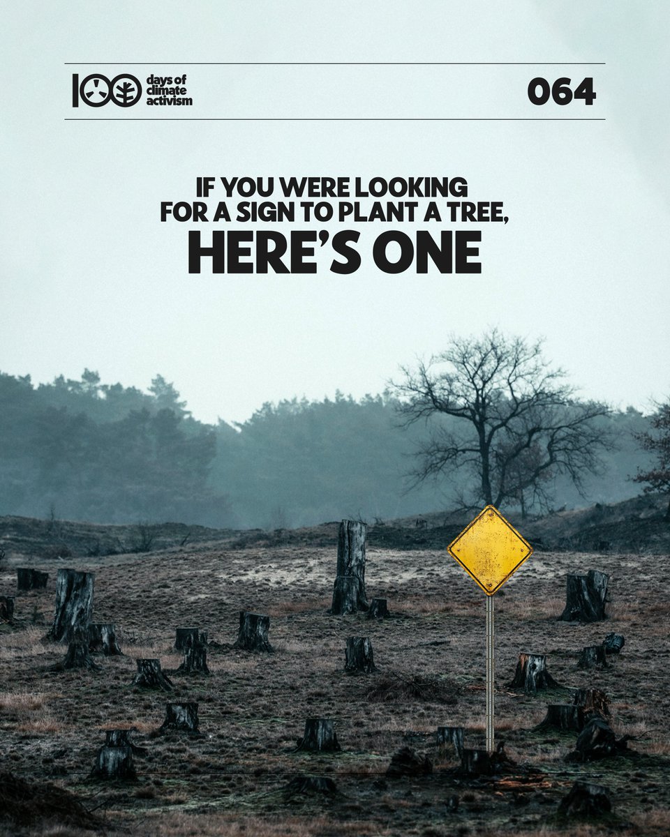 David Bujjadda tweet media