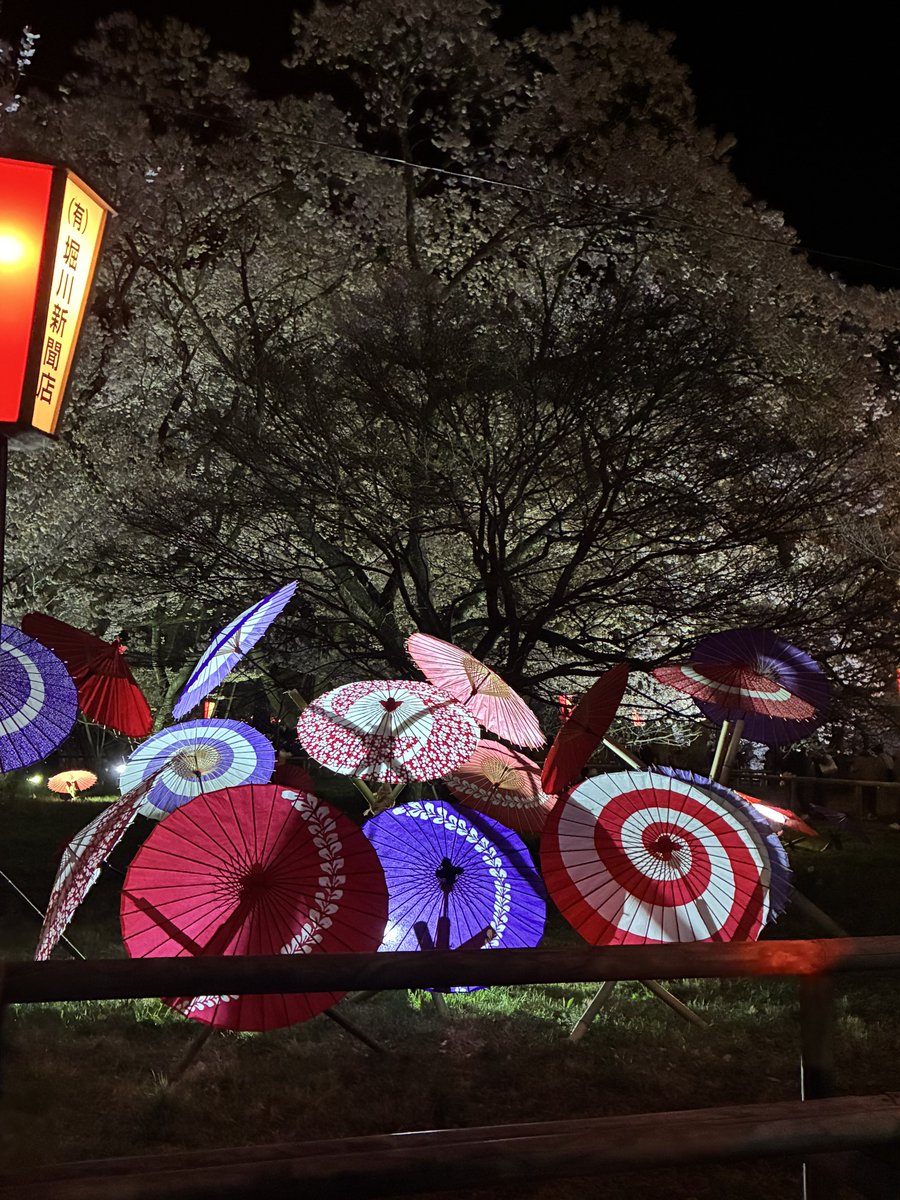 伊織 tweet media