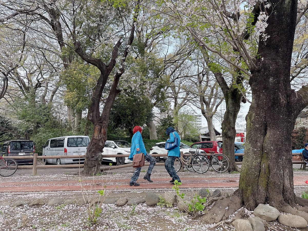 そうた⚡12TDC tweet media