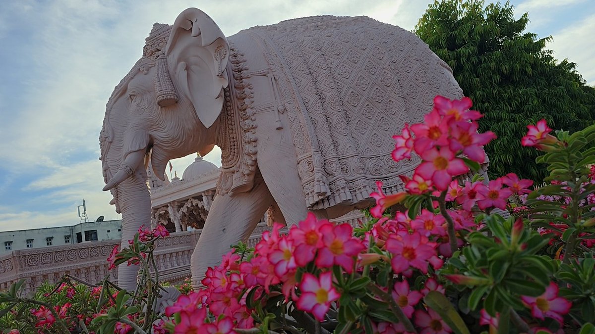 Dr. Deranged tweet media