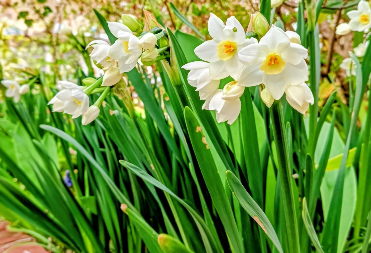 睦月🦊紺三郎 tweet media