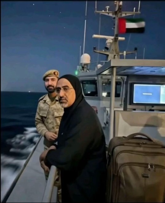 إندومينوس tweet media