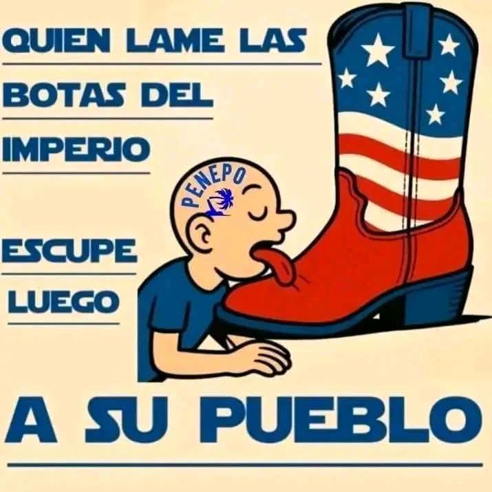 Yeni Cub@🇨🇺🇮🇷🇵🇸♥️🐬 tweet media