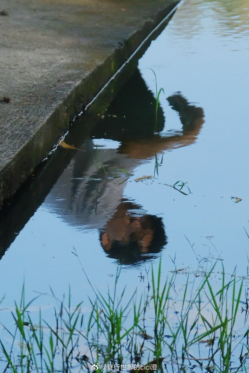 Natalie Grier tweet media