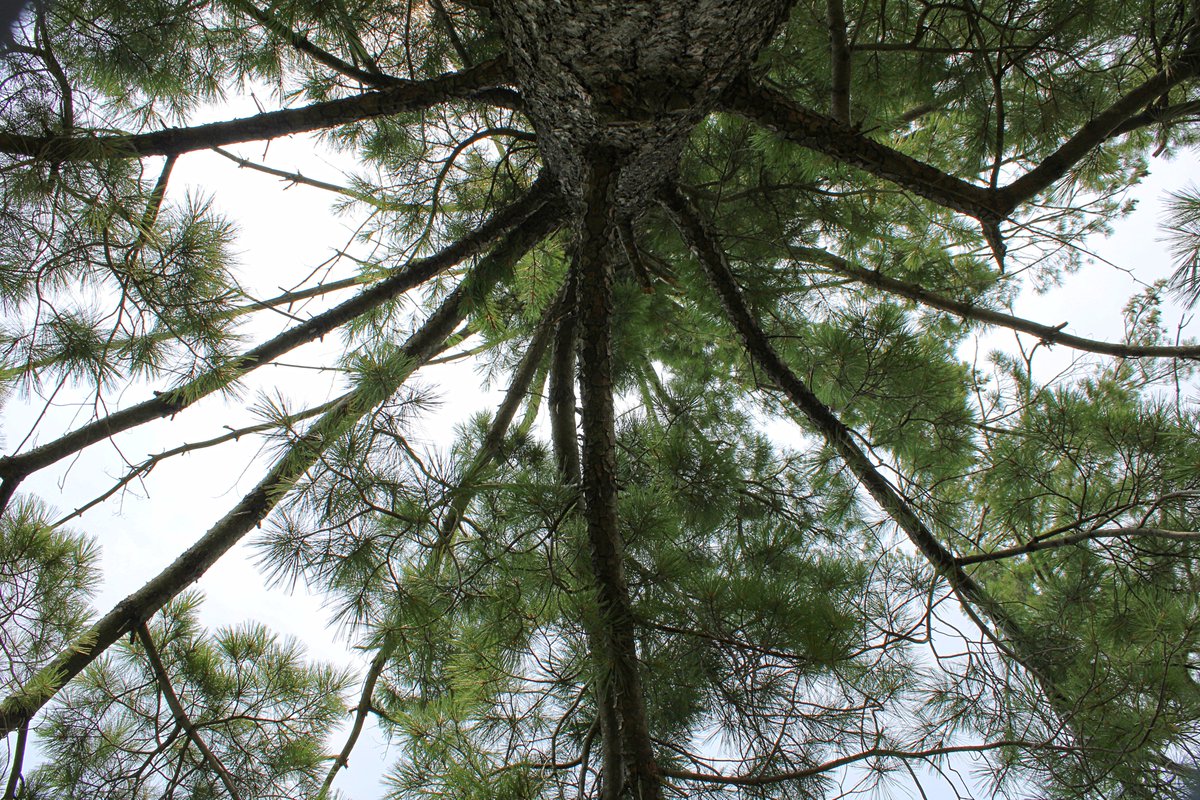 Klip-Pics tweet media