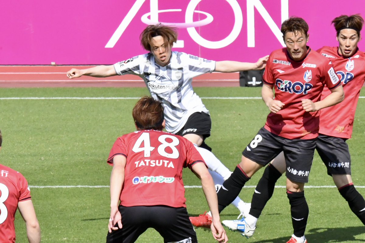 ぬこ🦭 tweet media