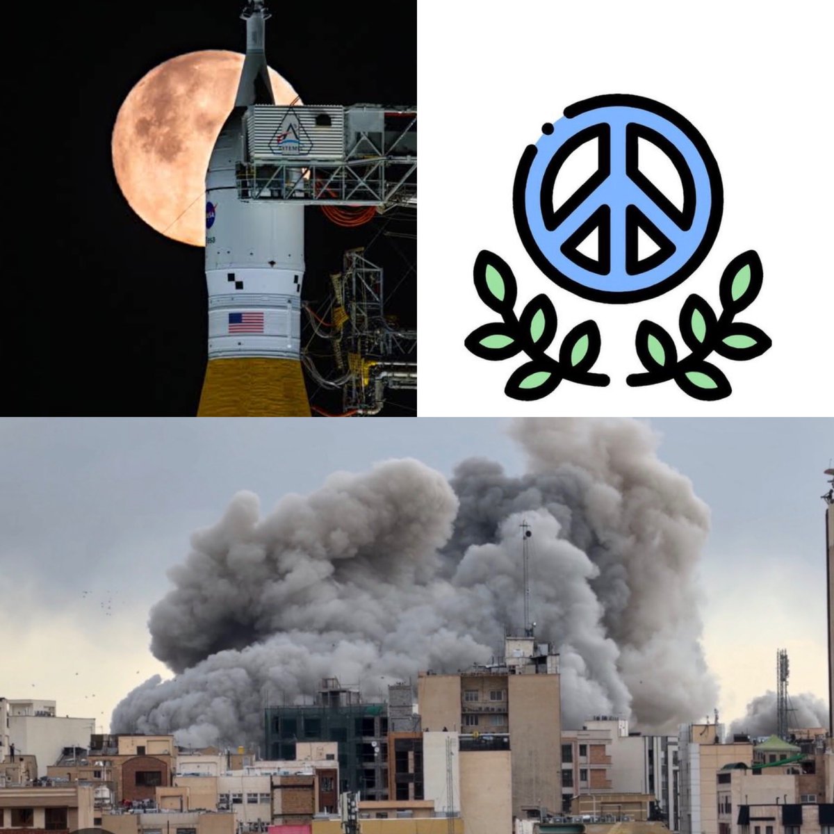 E. Rodríguez Veltzé tweet media