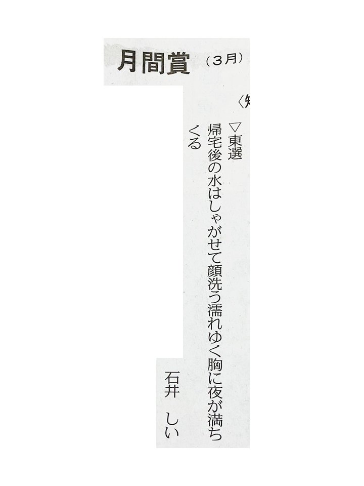 石井しい tweet media