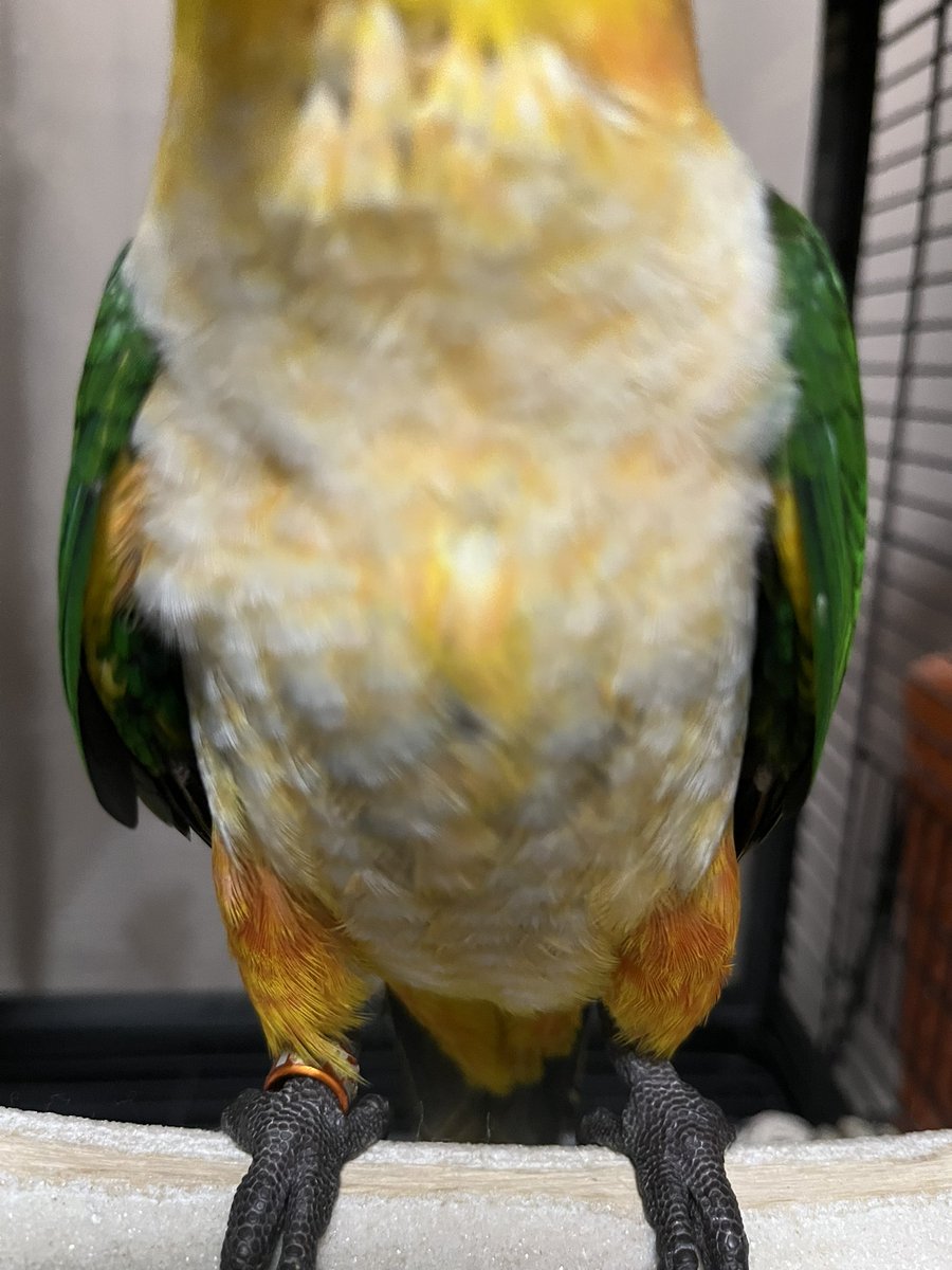 まいく tweet media