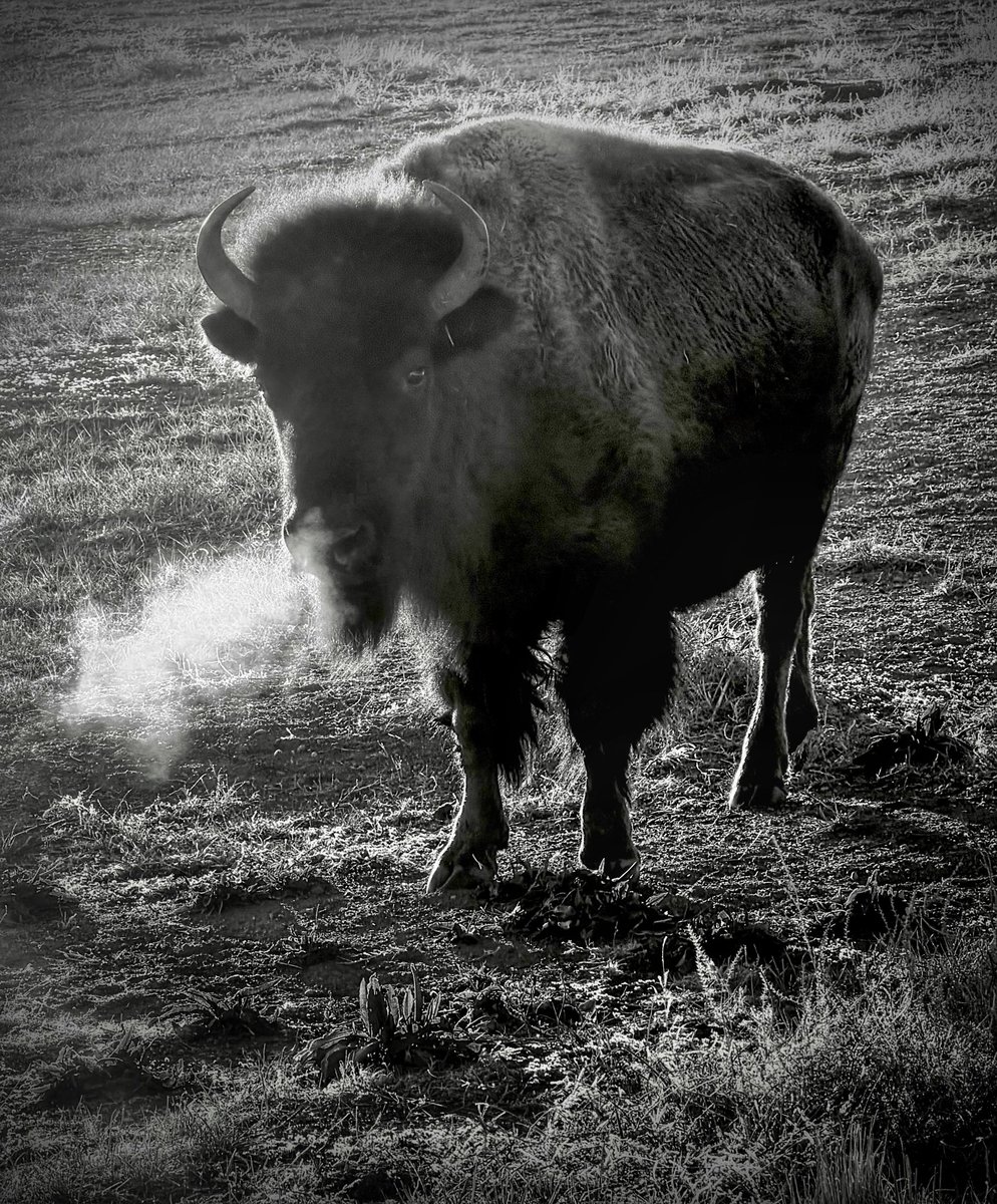 D Miller tweet media