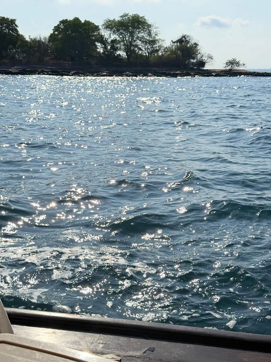 Buu's Ocean: PANCAKE BNK48 Fanclub tweet media