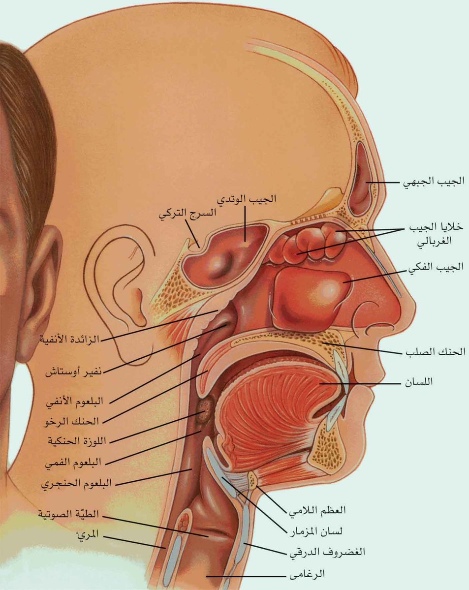 د. محمد البقيشي tweet media