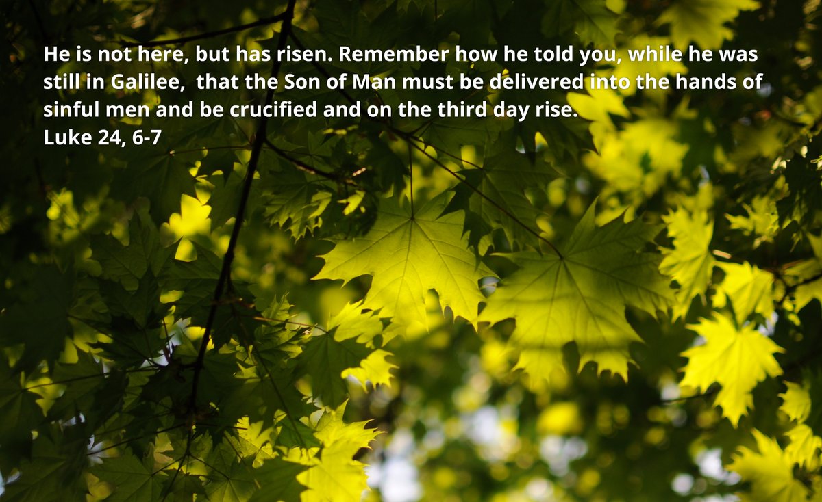 Tobias Beck tweet media